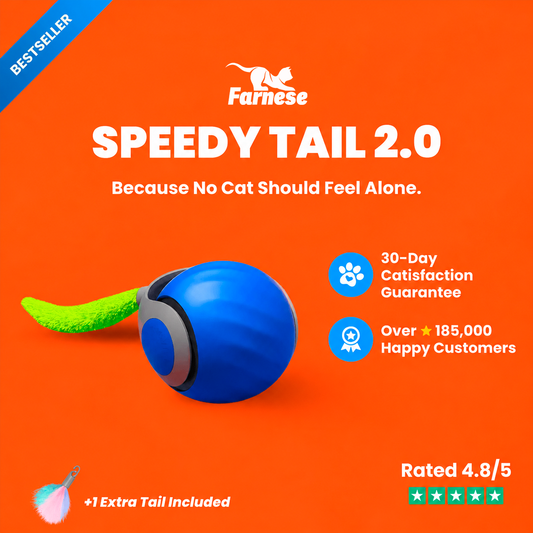 SPEEDY FARNE TAIL 2.0