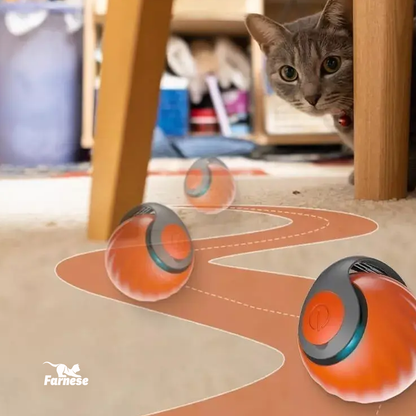 SPEEDY FARNE TAIL 2.0
