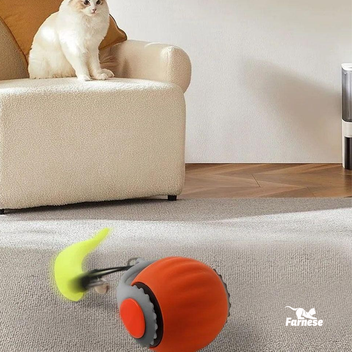 SPEEDY FARNE TAIL 2.0